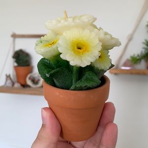 Potted Flowers Candle